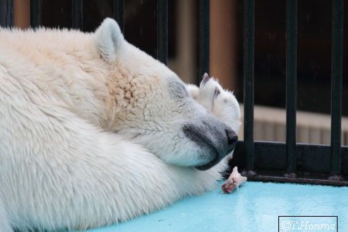 後ろからの視線
