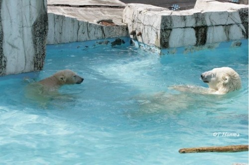１年前の８月２２日ララの水泳教室編
