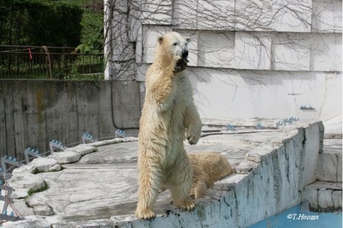 ８月２９日の続き