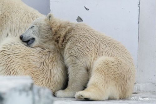 2009年8月29日のお昼前