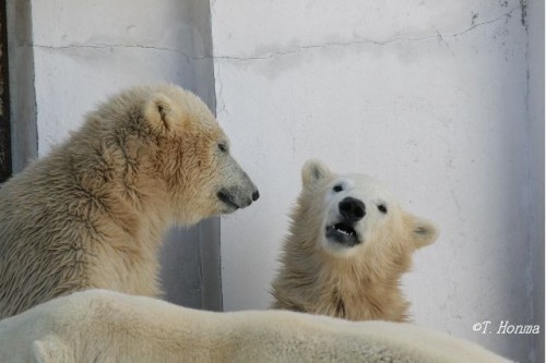 ちょうど１年前の９月３日その２