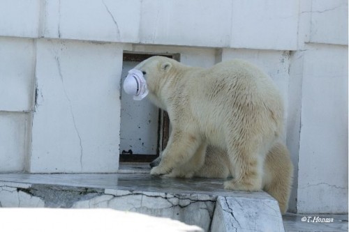 帽子事件のおまけ