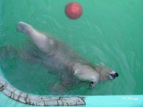 キロちゃん好きな方へ