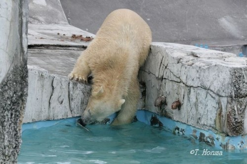 1年前の9月12日のデストロイヤー達