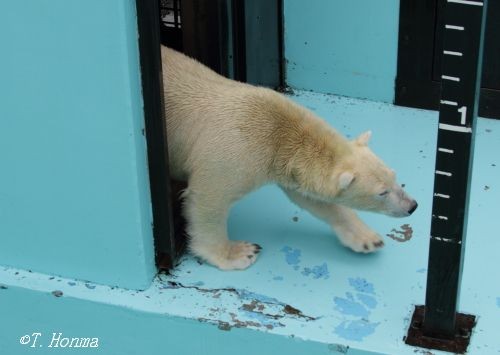 今日からしばらく出かけます
