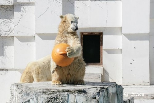 動画UPが遅くって