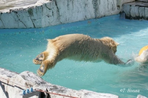 キロちゃん・・・