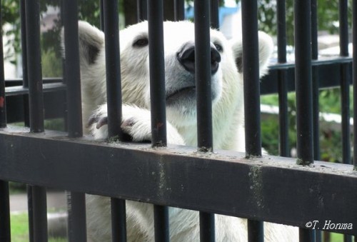 9月12日耐える男キロル