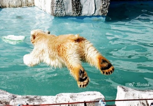 昨年の9月23日のくまくま