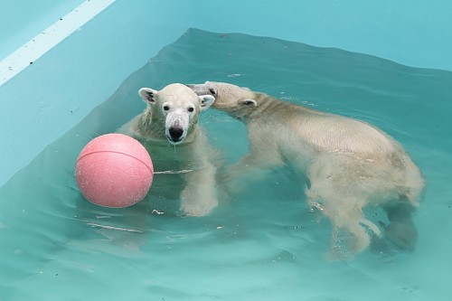 9月12日の12時過ぎ