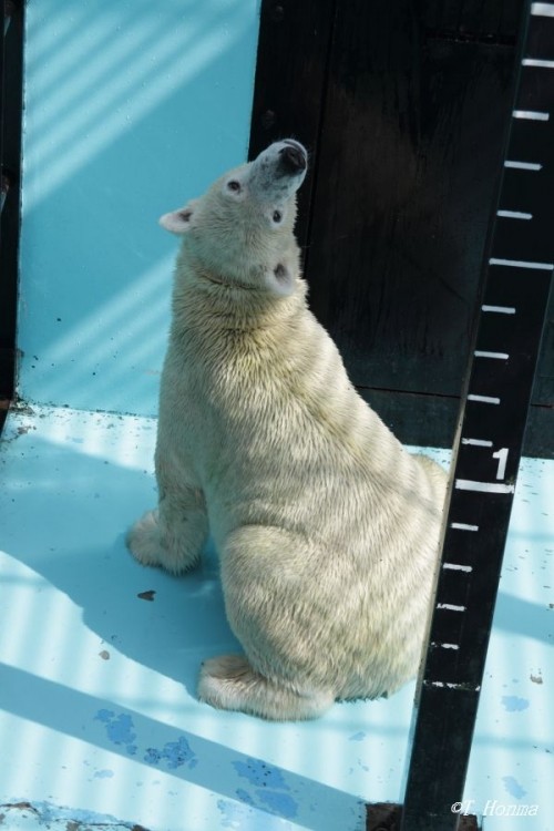 12日の1時過ぎから