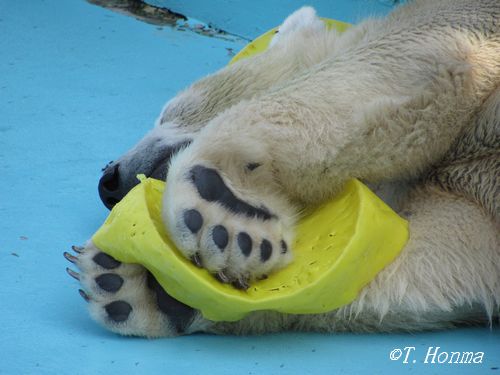 １２日の４時過ぎまで