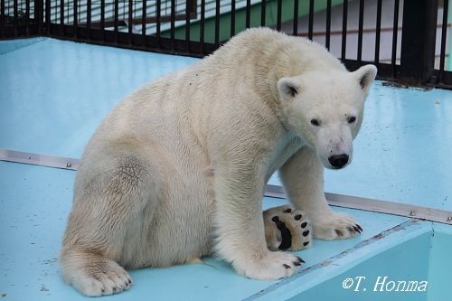 １２日のお食事中の方はご遠慮ください