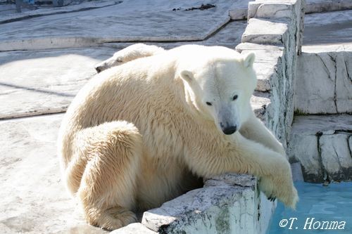 昨年９月２７日の