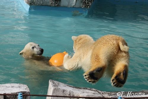 昨年10月4日のジャンプ