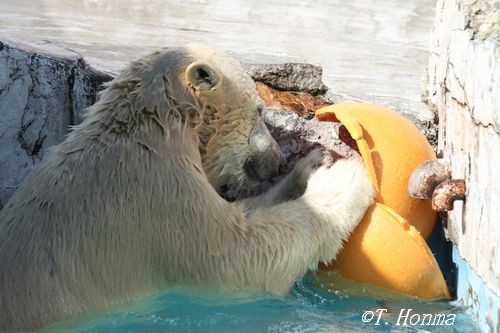 しばらく続く10月4日