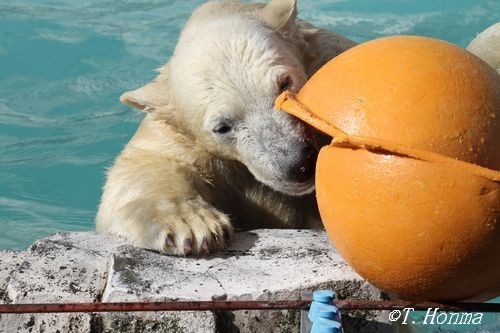 4日～だいたい午前中