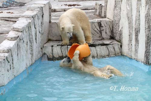 母の思惑と・・・