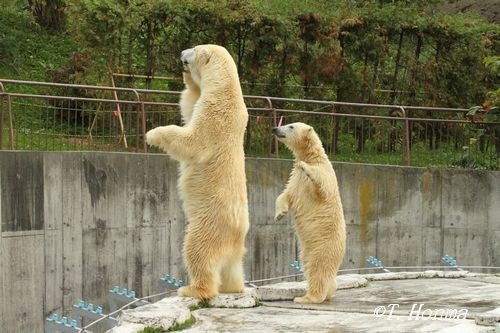 それちょうだい