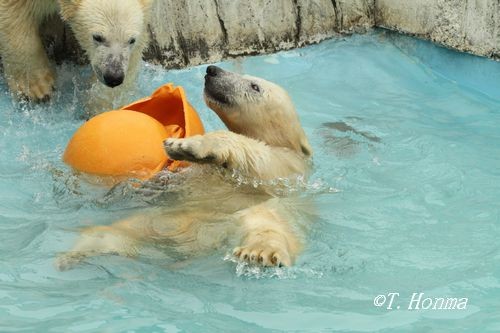 そしてブイは・・・