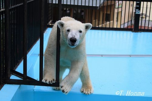 昨日の撮影現場は
