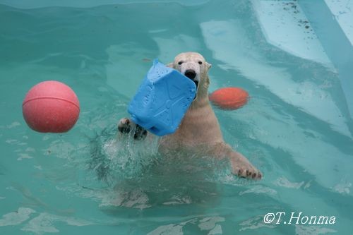 お昼休みギリギリに