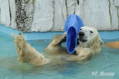 昨年の10月18日の