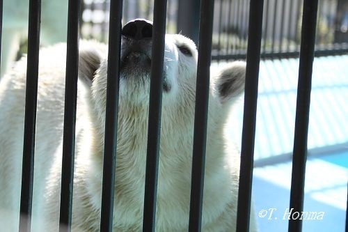 10月11日のくまくま