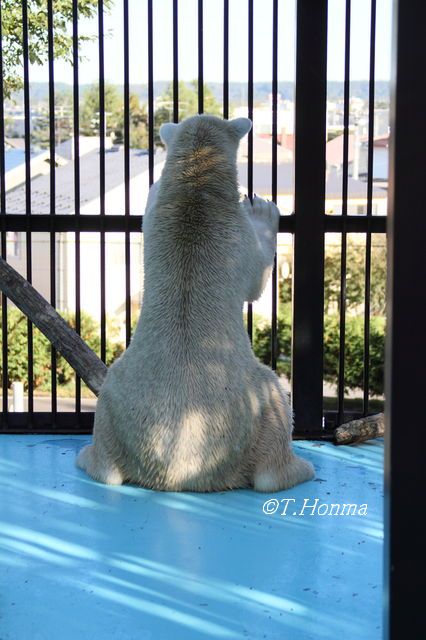 心があっても教えてくれないけど