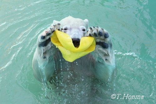 キロル式攪拌洗濯機