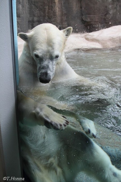 10月28日雨の日本平動物園