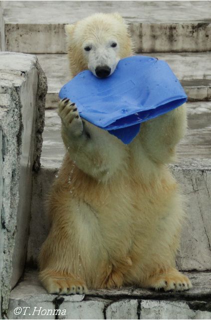 またまた11月1日の写真から