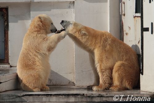 1年前の11月7日の写真