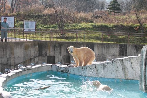 1年前の11月7日の差し入れ