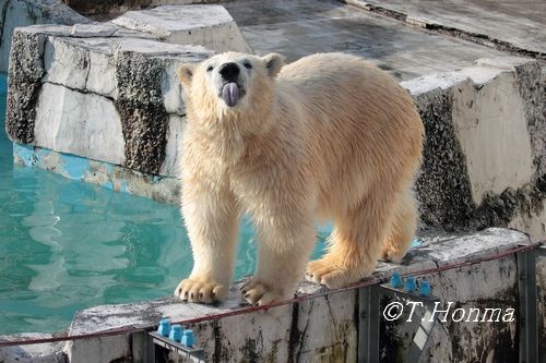 アップローダーが使えない！？