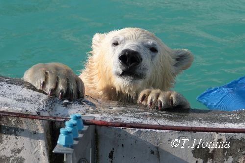 なおったみたいなので