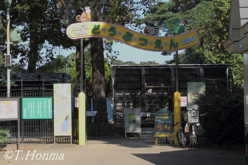 ぶちハイエナのガリガリタイム