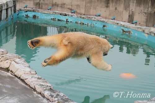 ちょうど1年前の11月8日