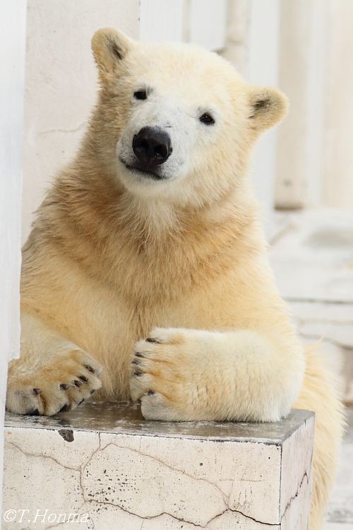 8日のとっておき