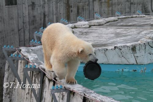 リリース＆キャッチ