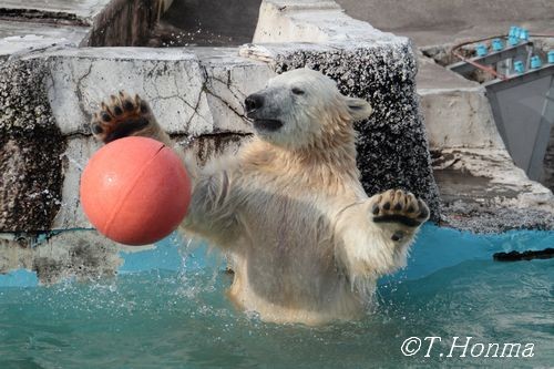 11月8日の赤いブイ