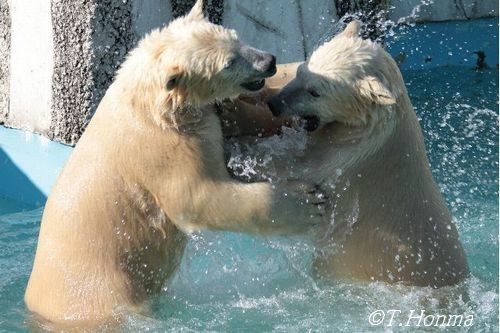ちょうど1年前の11月12日
