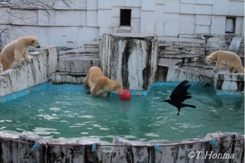 昨年１１月１５日のララの誕生日イベント