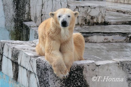 ララだって遊びたい