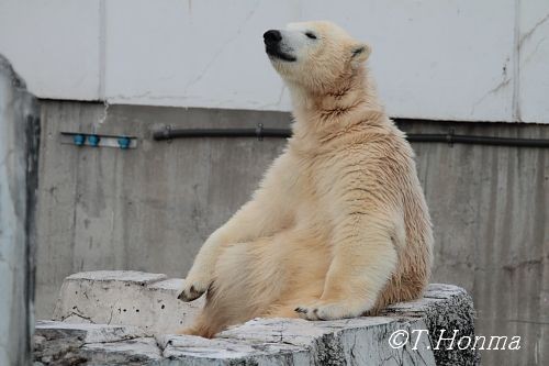 昨年11月22日の甘えん坊さん