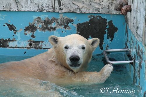 昨年１１月２２日のおまけカット