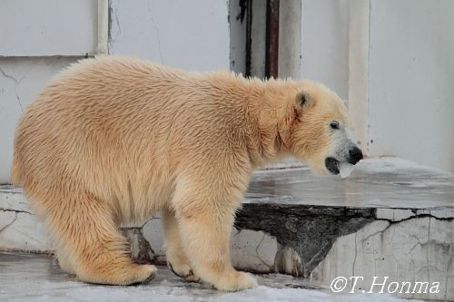 １年前の１１月２９日