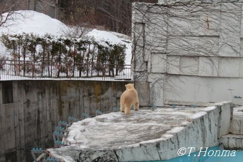 昨年１１月２９日のキロルの勘違い