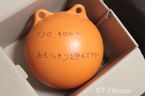 昨年１１月２９日の大はしゃぎ