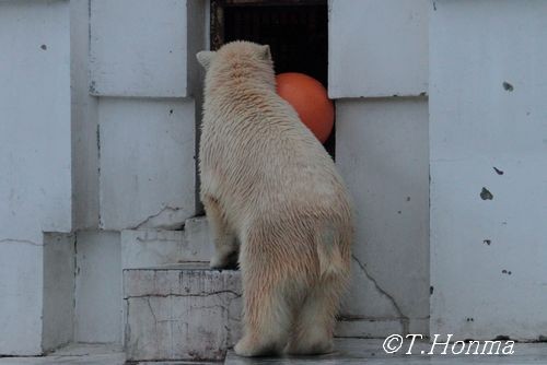 昨年１１月２９日の終了